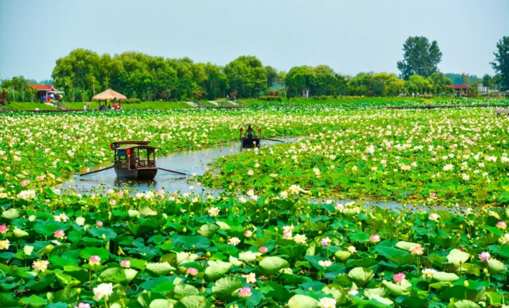 Jiaogang Lake Summer Cultural and Tourism Feast Starts